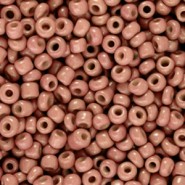Seed beads 8/0 (3mm) Fired brick brown